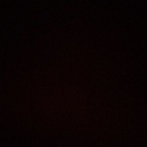 Meet your Posher, Alondra